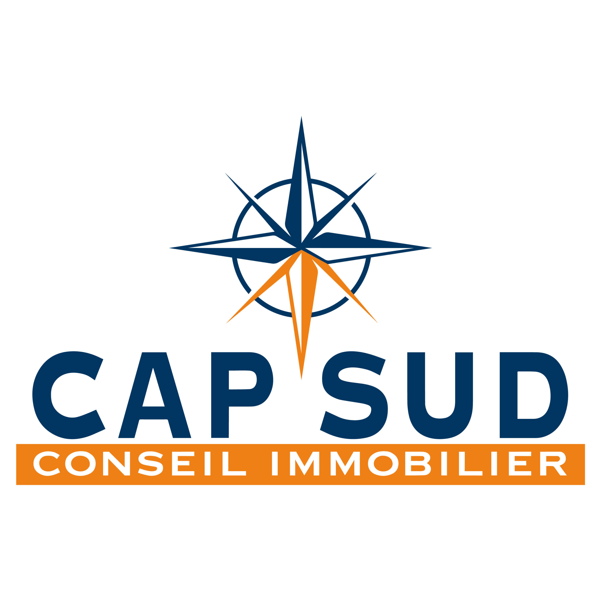Logo - Cap Sud - Orange et bleu - Carre